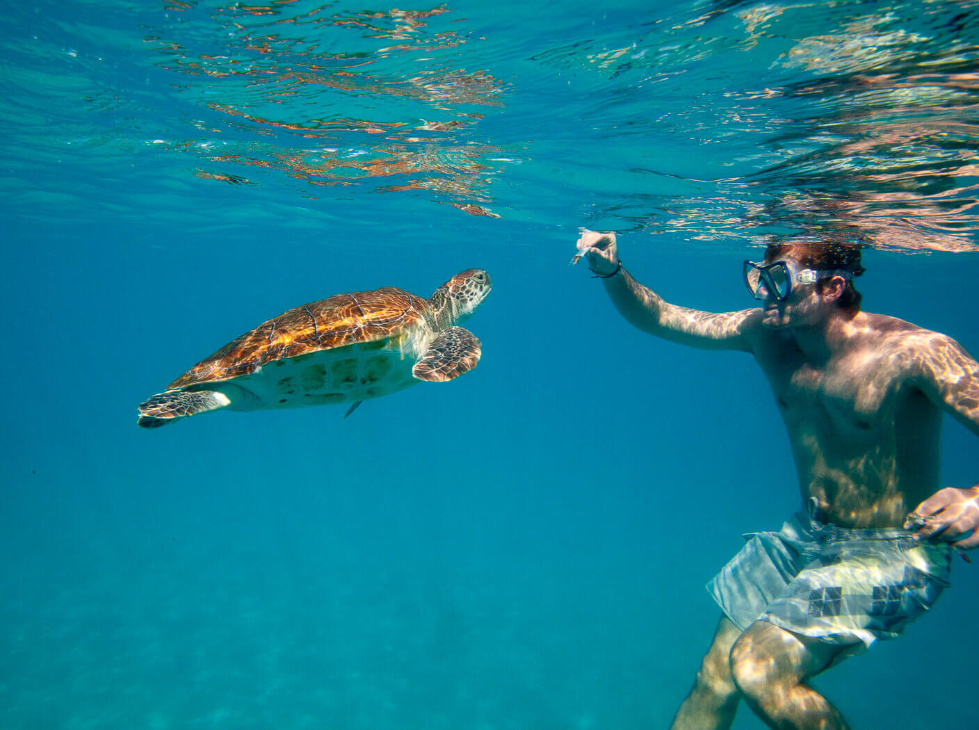 Duiken, Snorkelen, Barbados, Vakantie, Vakantievilla