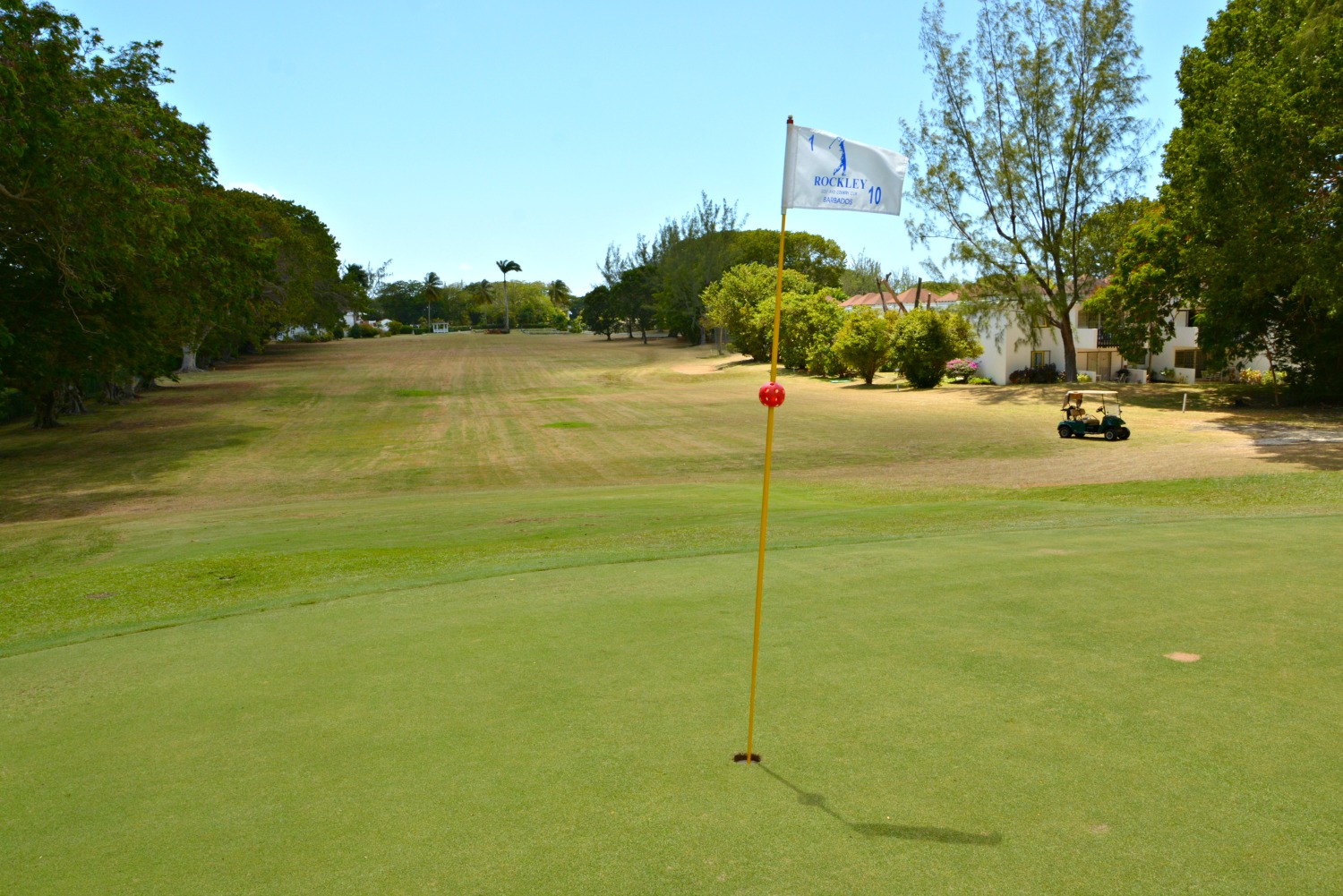 rockleygolfclub, rockley and country club, golfclub, barbados