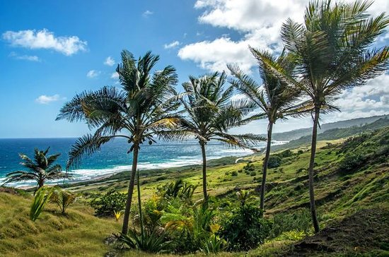 eilanden tour, eiland, barbados, tour, things to do