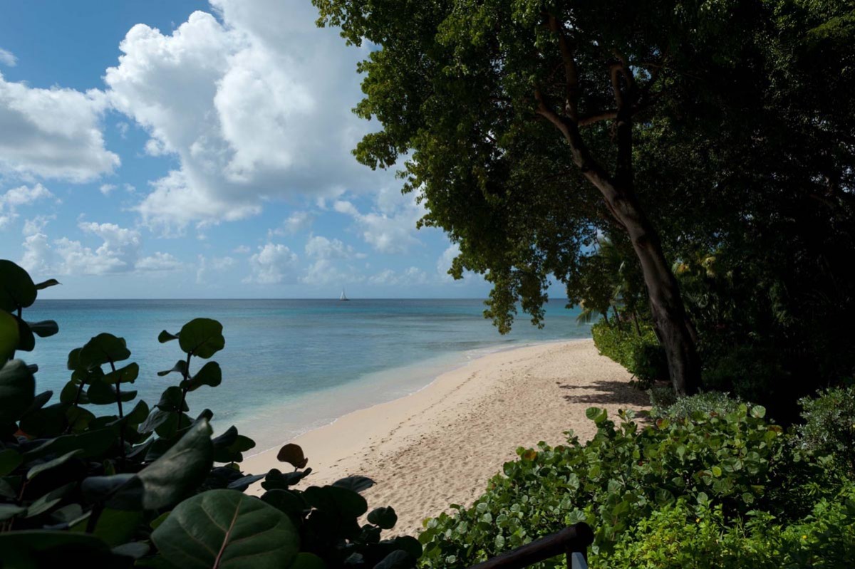 Strand, Barbados, omgeving, 6 personen, resort, vakantiehuizen