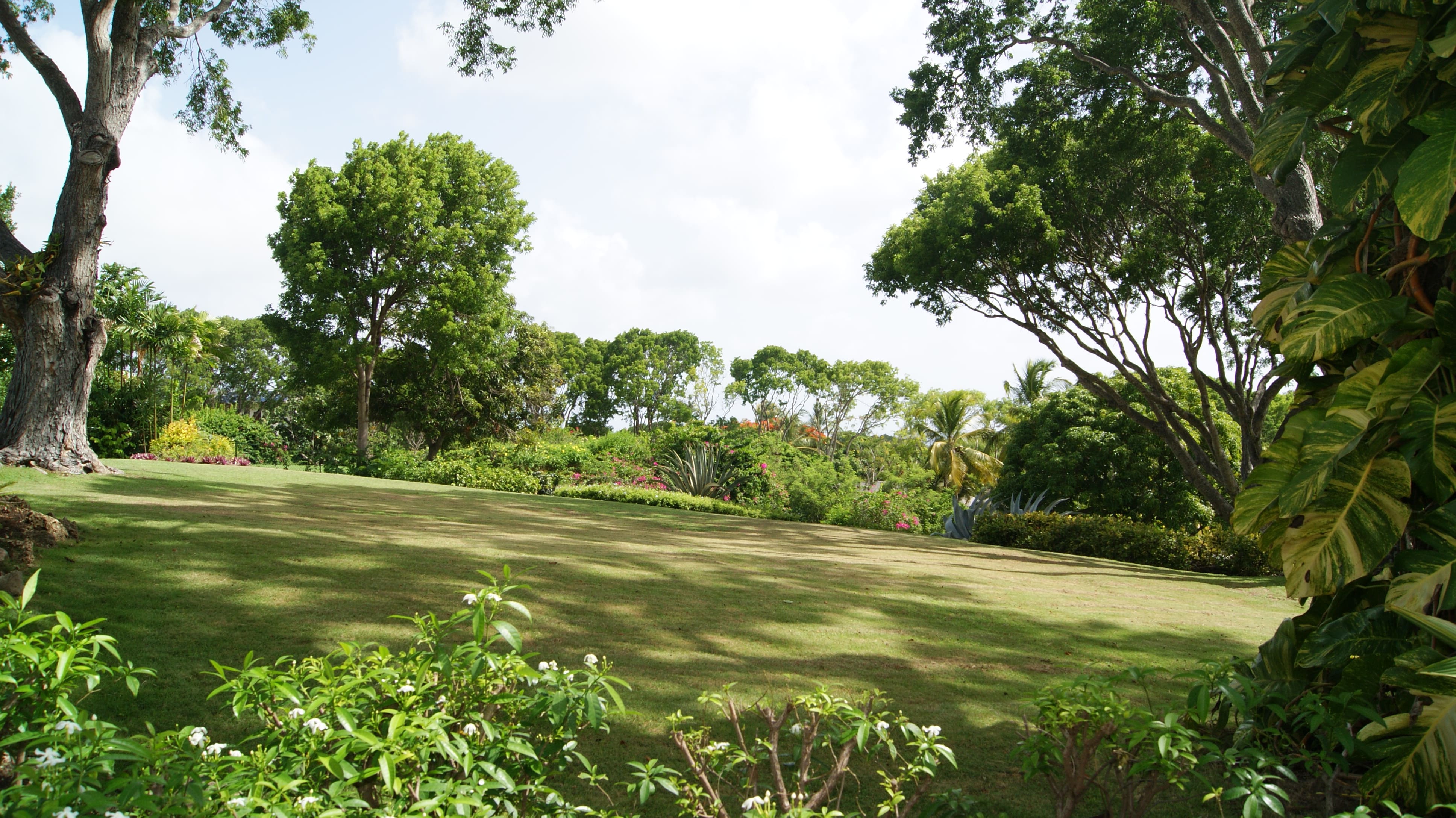 Ruime tuin, 6  personen, luxe vakantie, villa, barbados vakantie, sandy lane